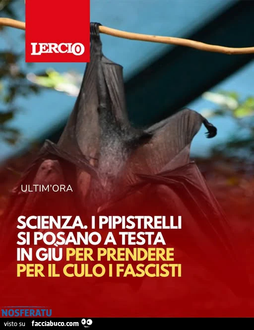 Prendere Per Il Culo I Fascisti