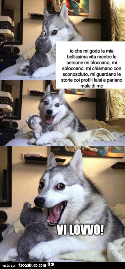 Vaccata