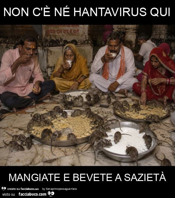 Non c'è né hantavirus qui mangiate e bevete a sazietà