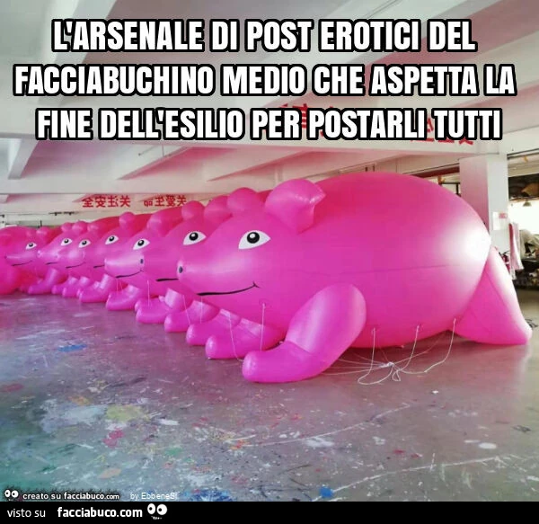 L'arsenale di post erotici del facciabuchino medio che aspetta la fine dell'esilio per postarli tutti