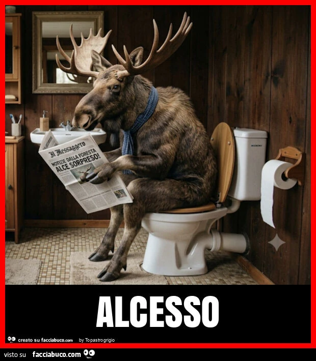 Alcesso