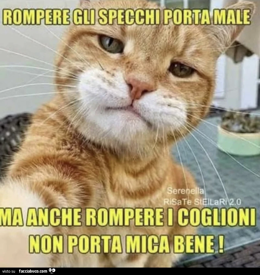 Vaccata