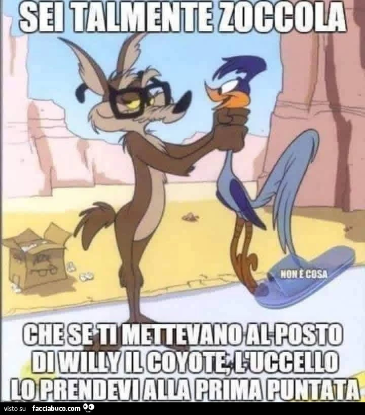 Vaccata