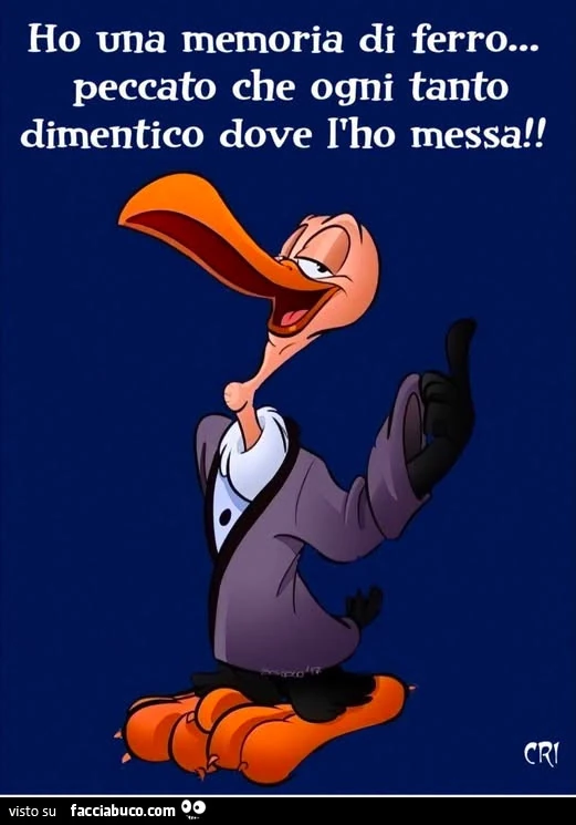 Ho una memoria di ferro… peccato che ogni tanto dimentico dove l'ho messa