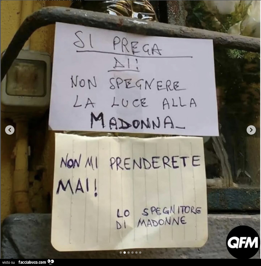 Vaccata