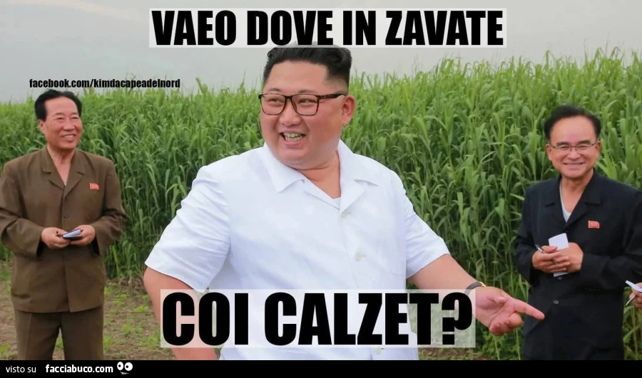 Vaccata
