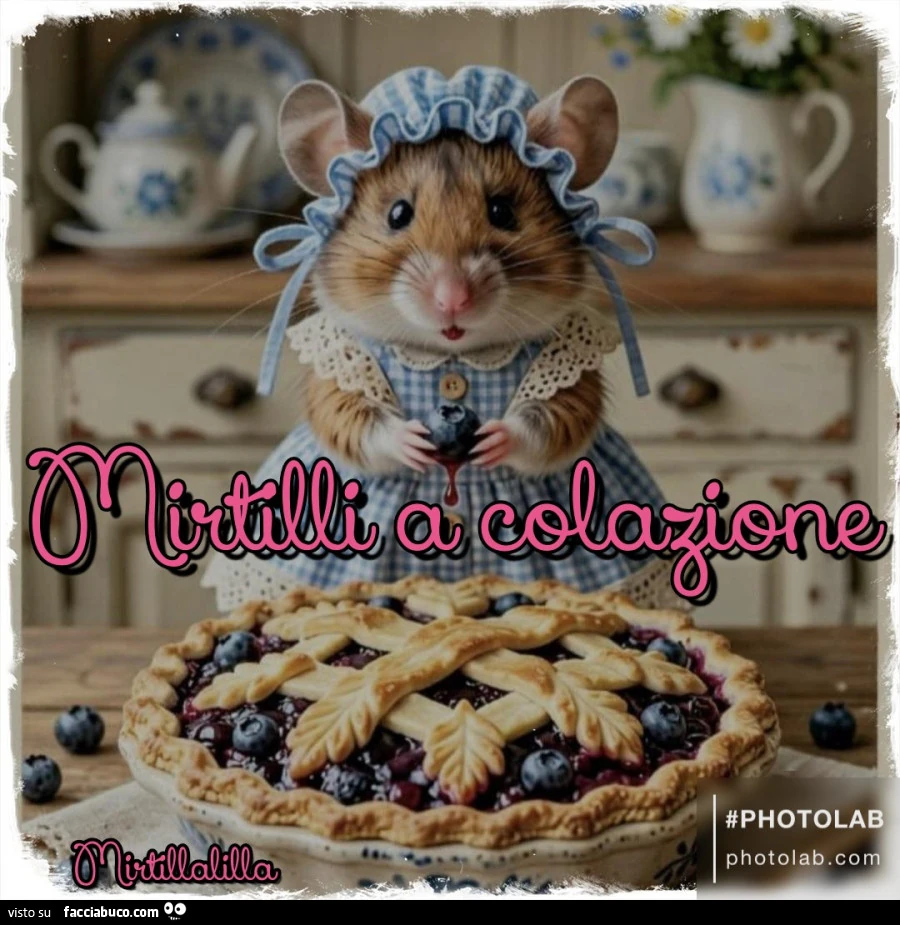 Mirtilli a colazione