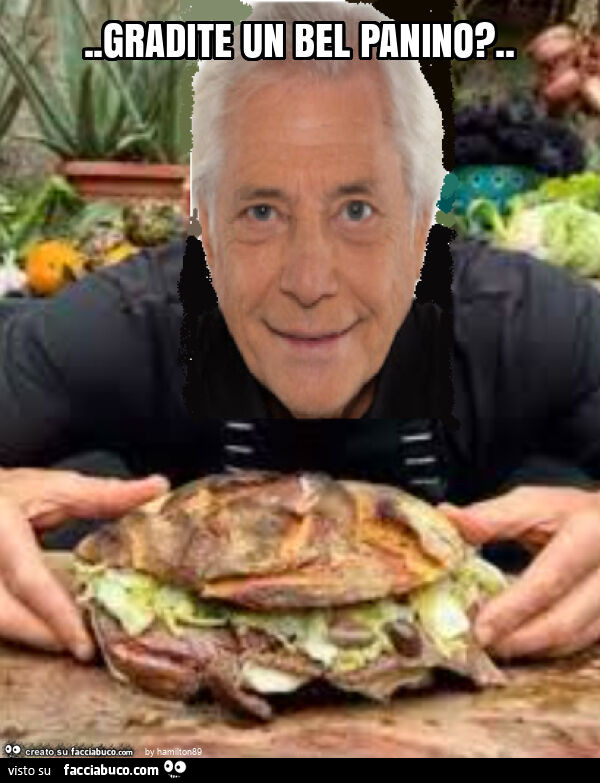 Gradite un bel panino?
