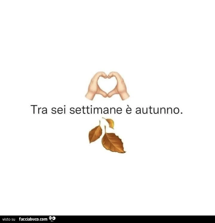 Tra sei settimane è autunno