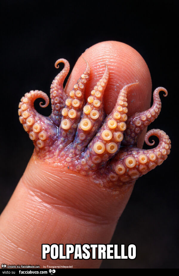 Polpastrello