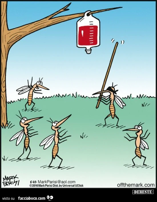 Vaccata