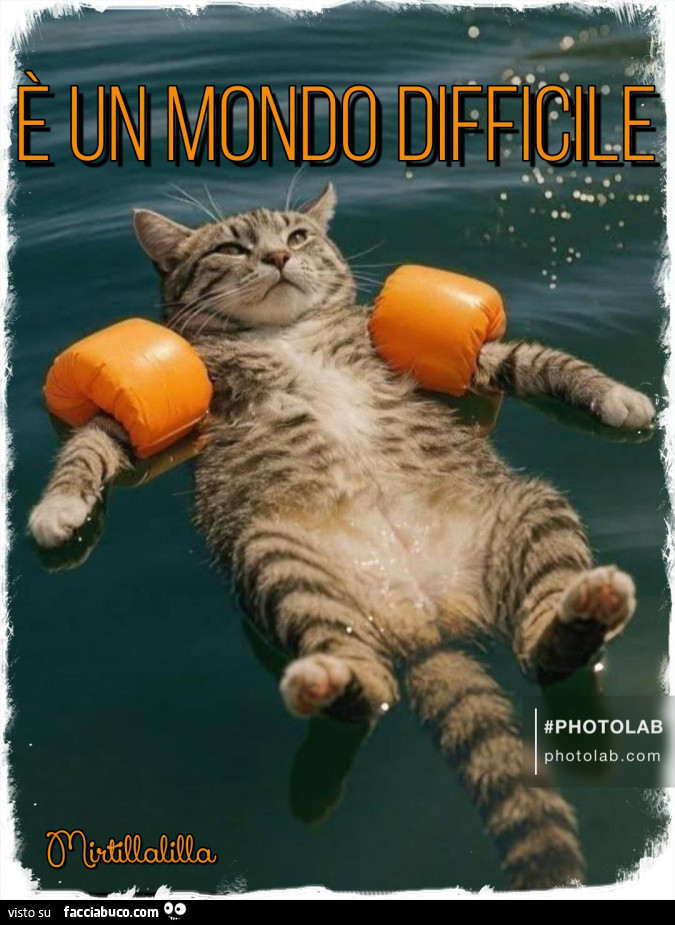 È un mondo difficile