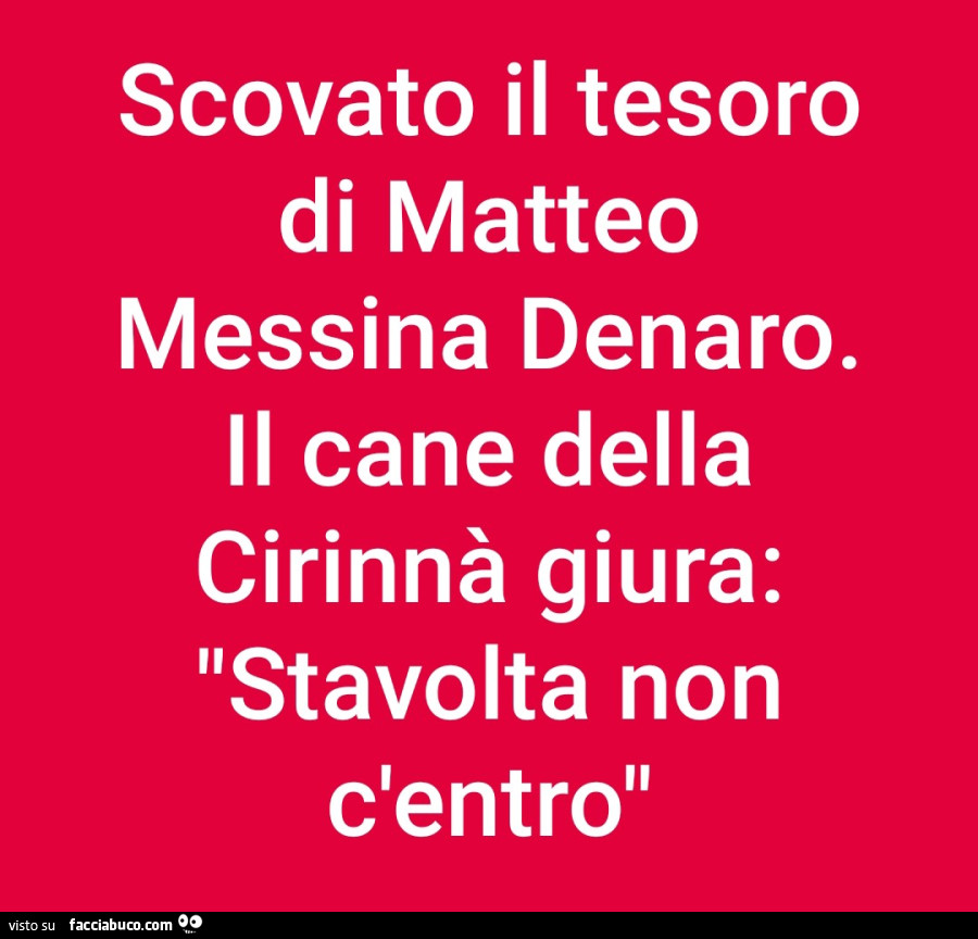 Scovato il tesoro di matteo messina denaro. Il cane della cirinnà giura: stavolta non c'entro