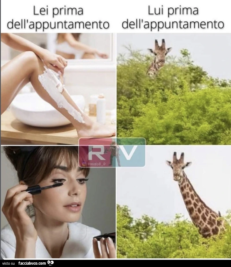 Vaccata