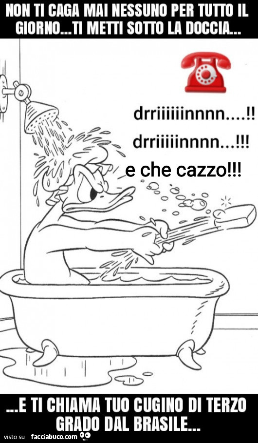 Doccia