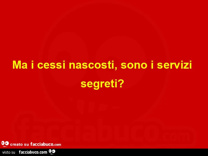 Ma i cessi nascosti, sono i servizi segreti?  