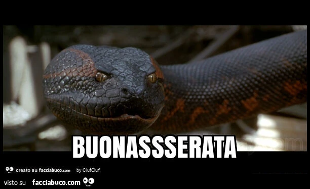 Buonassserata