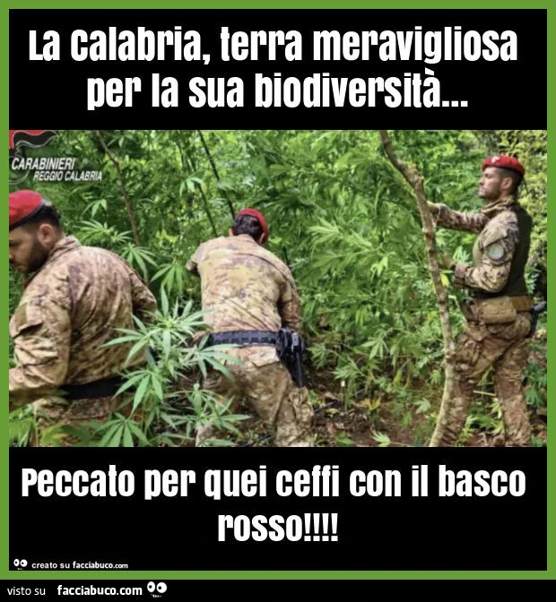 La calabria, terra meravigliosa per la sua biodiversità&hellip; peccato per quei ceffi con il basco rosso