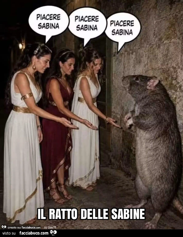 Il ratto delle sabine