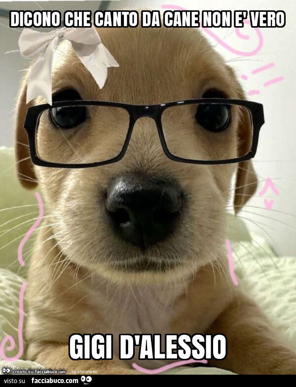 Dicono che canto da cane non è vero gigi d'alessio