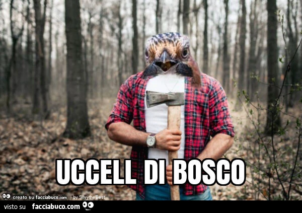 Uccell di bosco