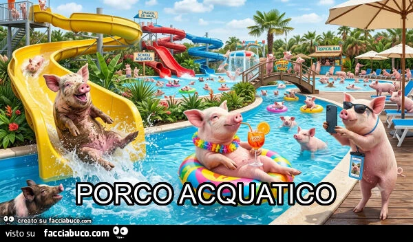 Porco acquatico