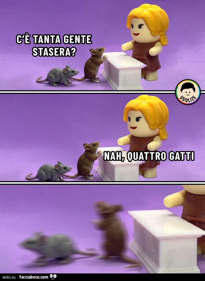 Vaccata