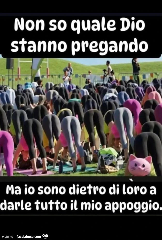 Vaccata