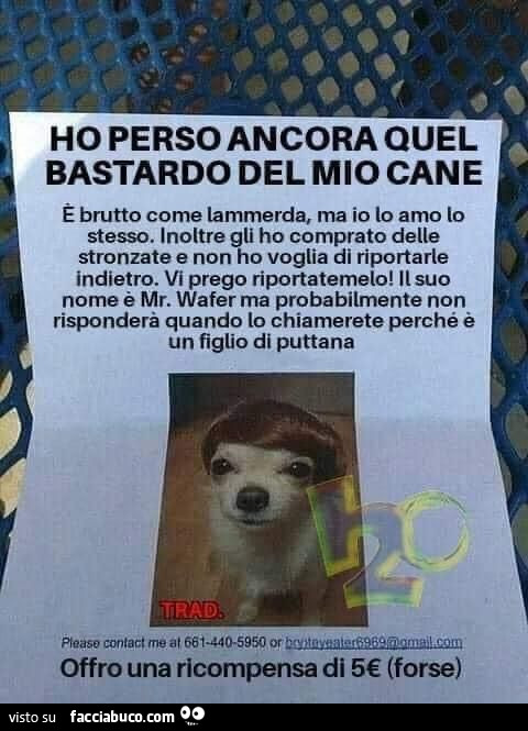 Vaccata