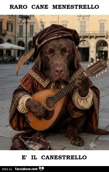 Canestrelli, menestrelli, cani