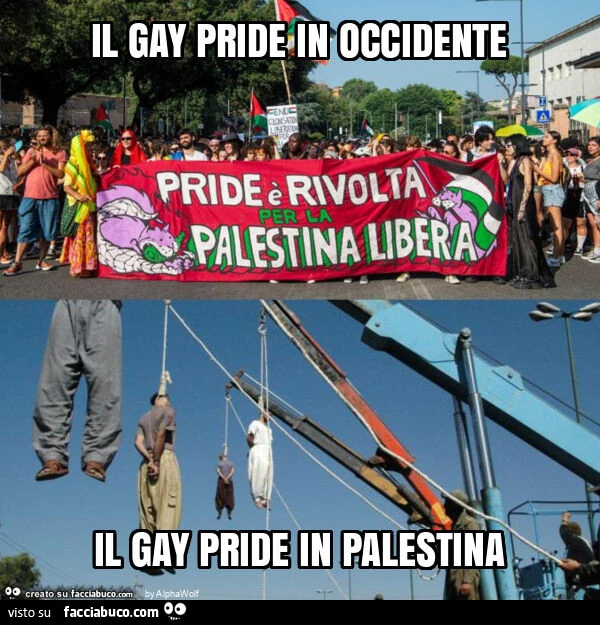 Il gay pride in occidente il gay pride in palestina