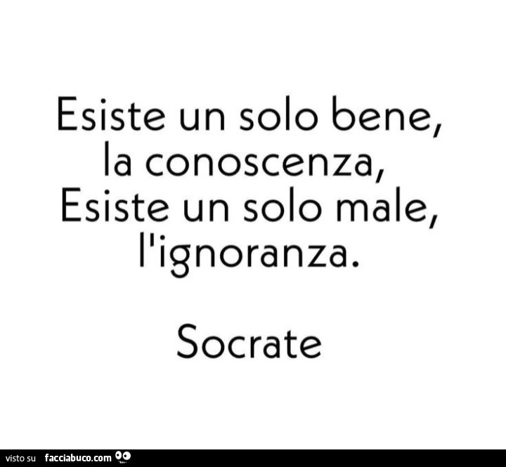 Esiste un solo bene, la conoscenza. Esiste un solo male, l'ignoranza. Socrate