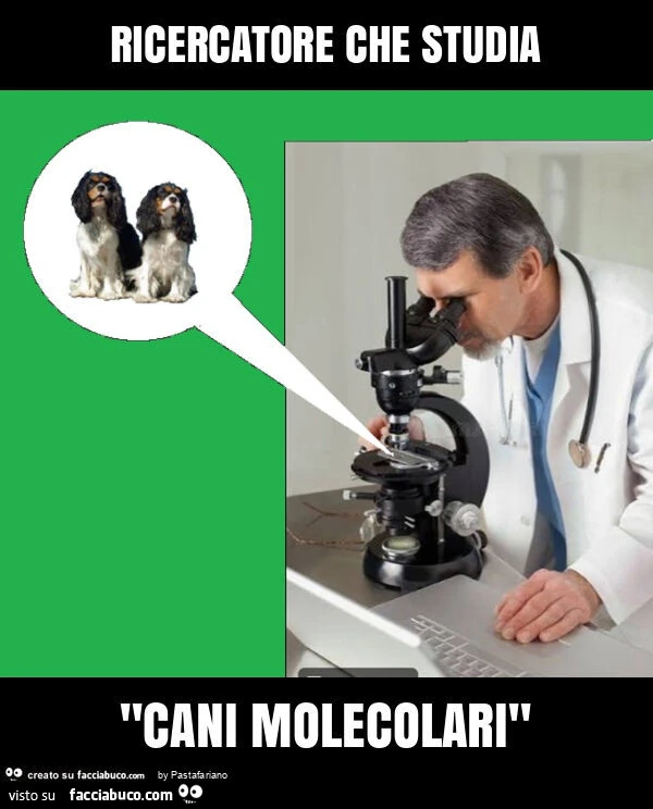 Ricercatore che studia al microscopio i "cani molecolari"