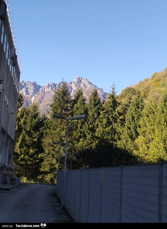 Panorama