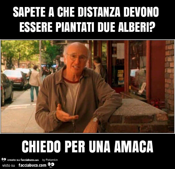 Sapete a che distanza devono essere piantati due alberi? Chiedo per una amaca