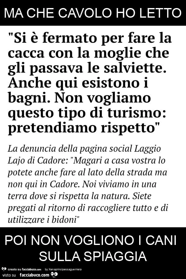 Ma che cavolo ho letto poi non vogliono i cani sulla spiaggia