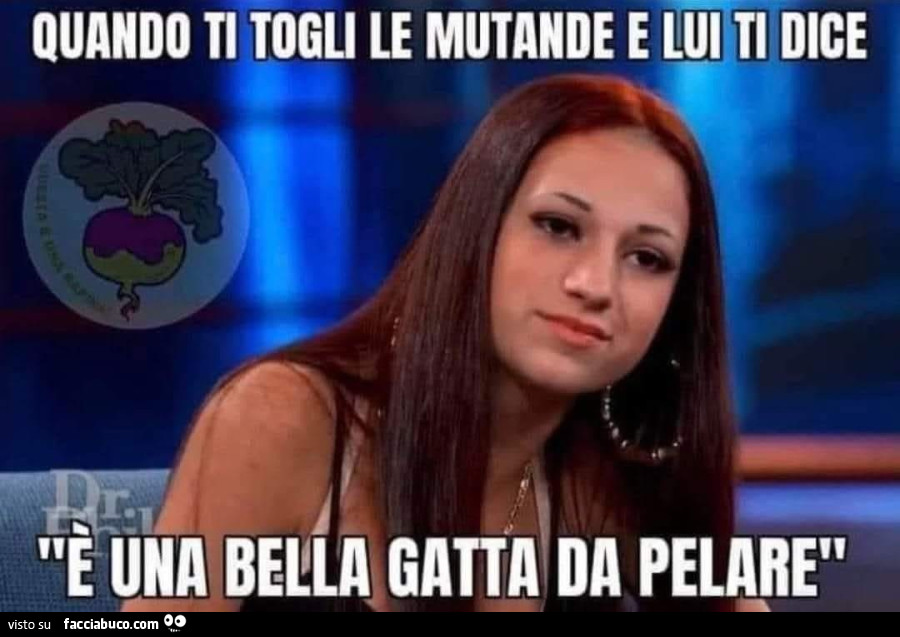 Vaccata