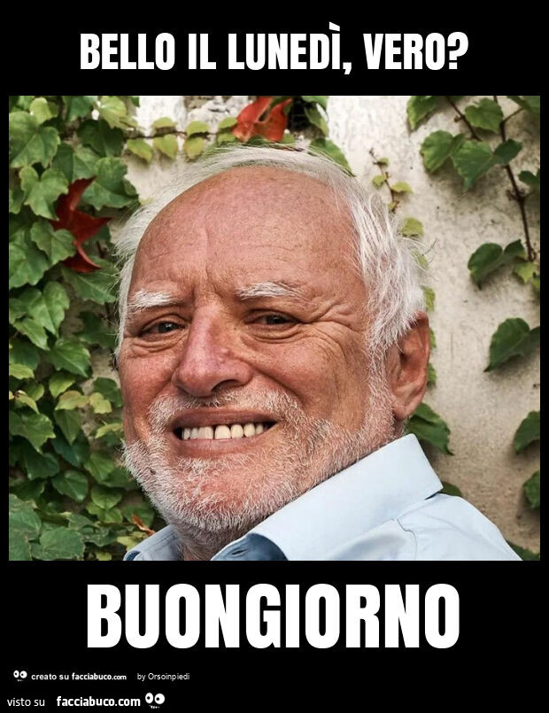 Bello il lunedì, vero? Buongiorno