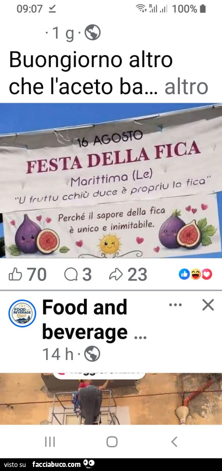 Fica