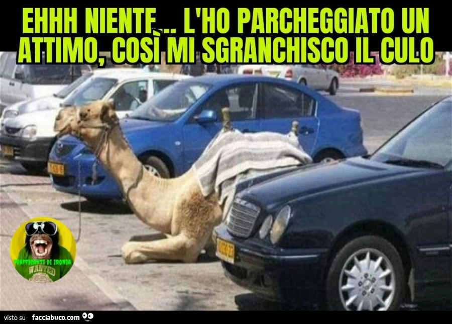 Ehhh niente l'ho parcheggiato un attimo cosรฌ mi sgranchisco
