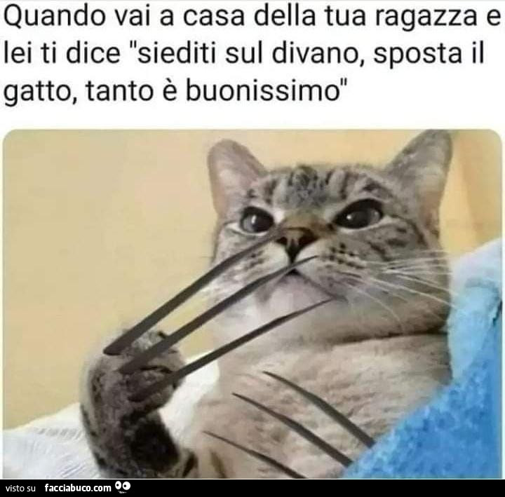 Vaccata