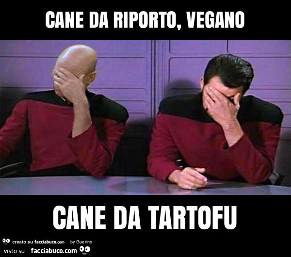 Cane da riporto, vegano cane da tartofu