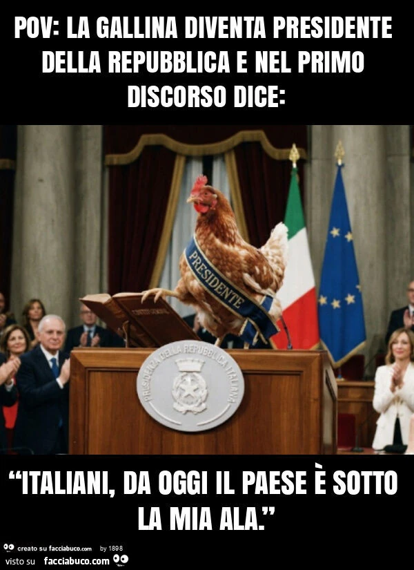Pov: la gallina diventa presidente della repubblica e nel primo discorso dice: “italiani, da oggi il paese è sotto la mia ala. ”