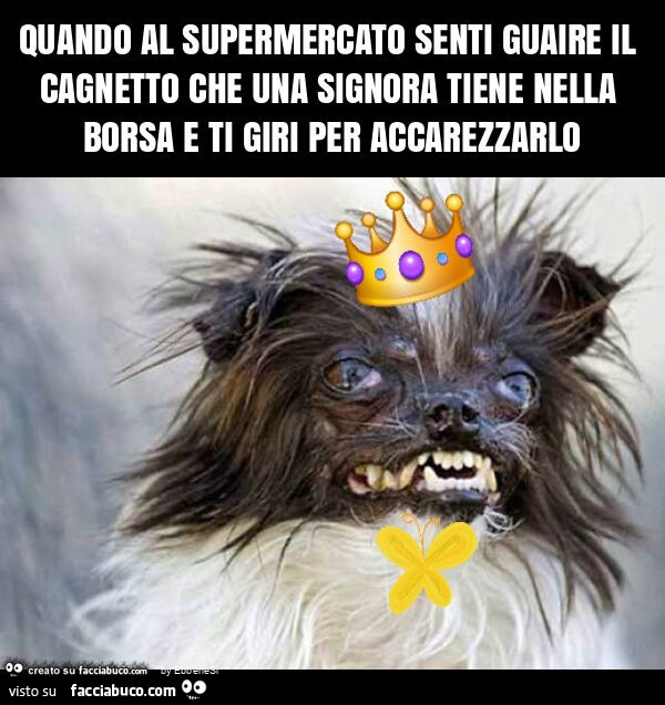 Quando al supermercato senti guaire il cagnetto che una signora tiene nella borsa e ti giri per accarezzarlo
