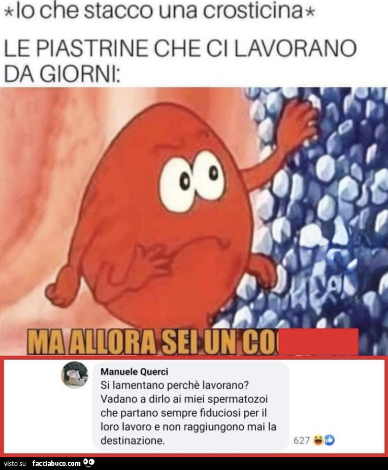 Vaccata