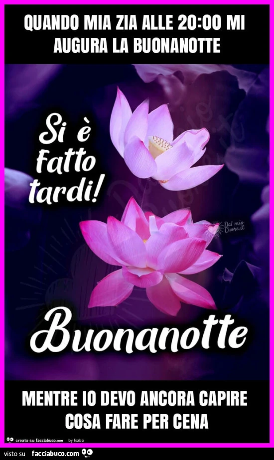 Quando mia zia alle 20: 00 mi augura la buonanotte mentre io devo ancora capire cosa fare per cena