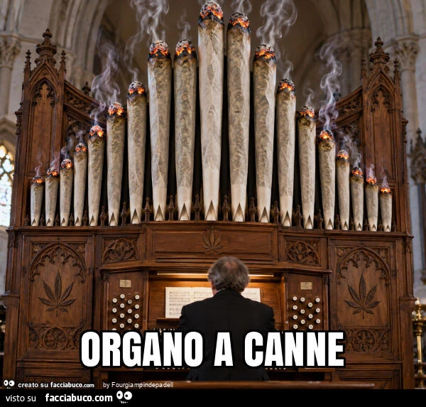 Organo a canne