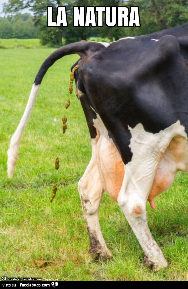 La natura