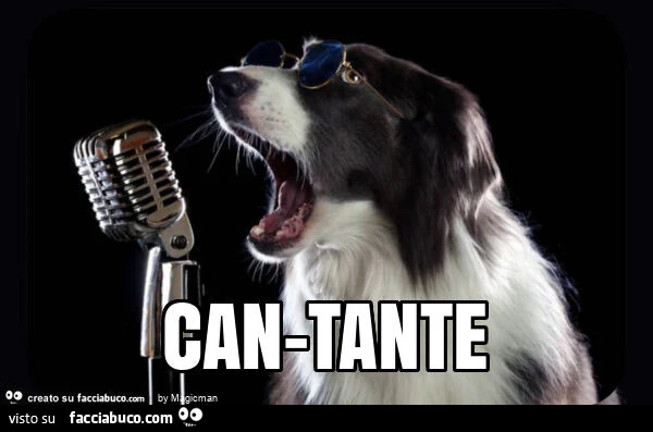 Can-tante