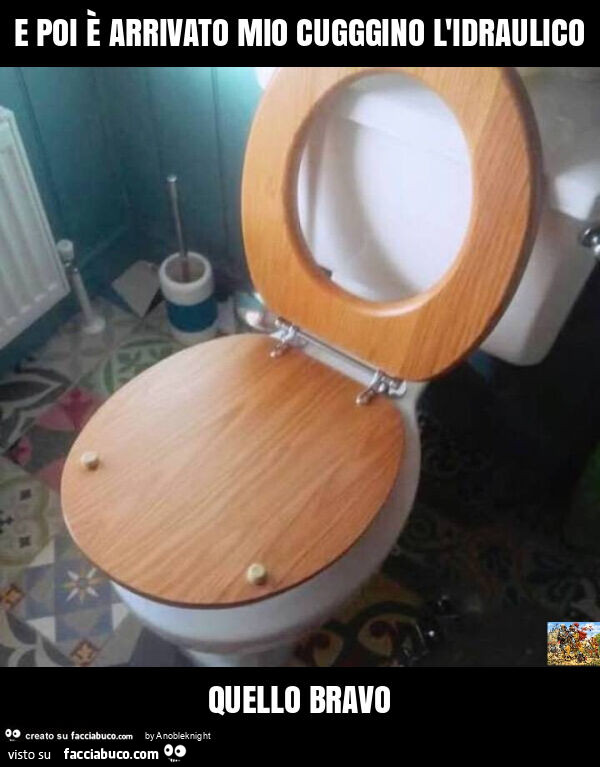 E poi è arrivato mio cugggino l'idraulico quello bravo